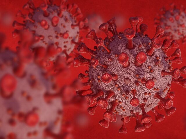 Вирусолог Чепурнов: COVID-19 может возобновиться из-за невысокой длительности иммунитета