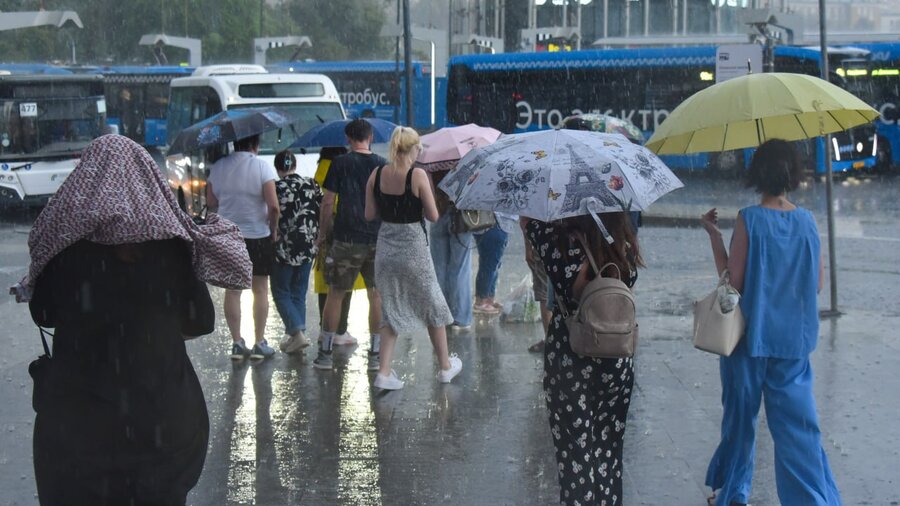 До конца августа в москве