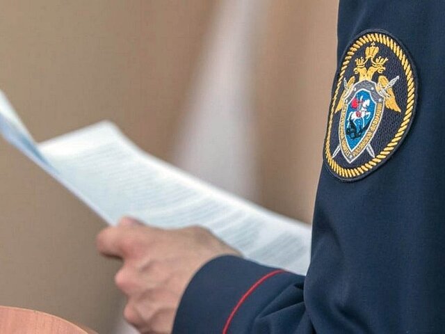 СК РФ установит причастных к гибели фотокорреспондента Цицаги в ДНР