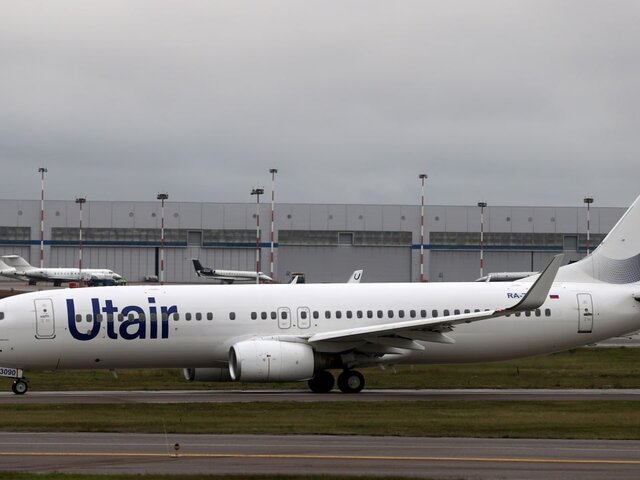 Utair организовала проверку после гибели кошки на борту самолета Москва – Анталья