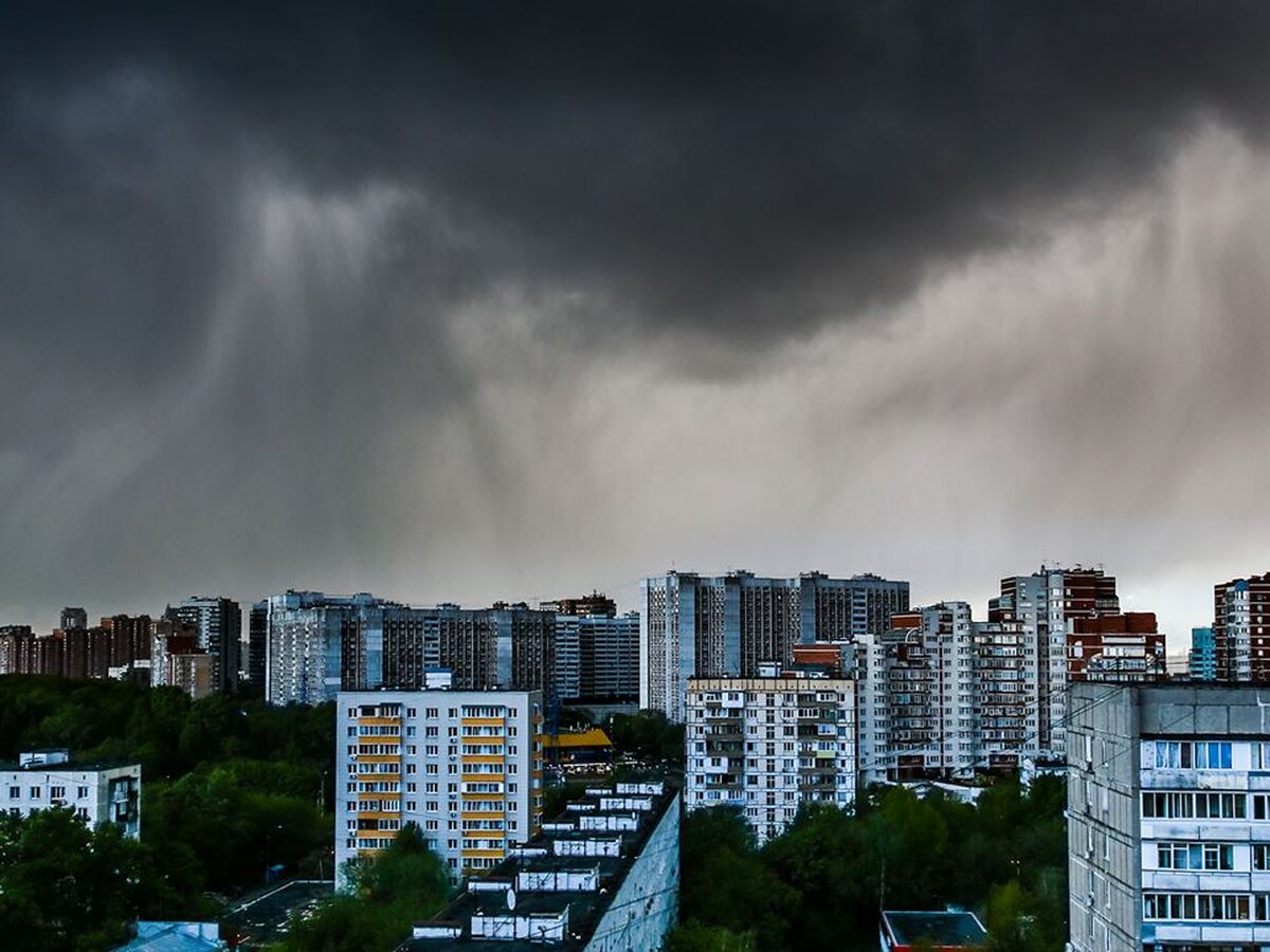 Ливень и гроза ожидаются в Москве после 14:00 – Москва 24, 04.06.2024