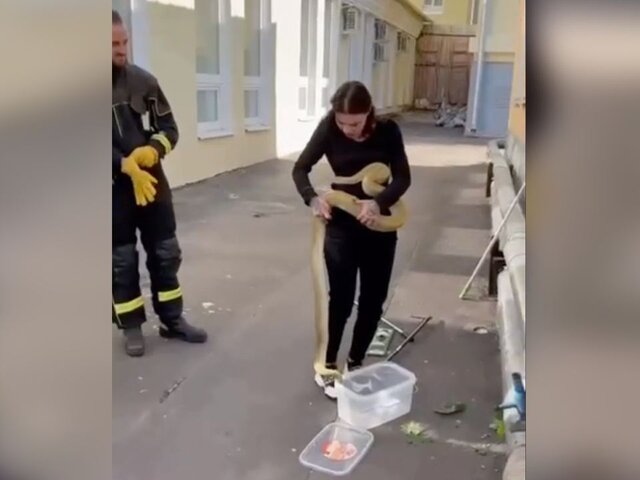 Спасатели поймали змею в центре Москвы