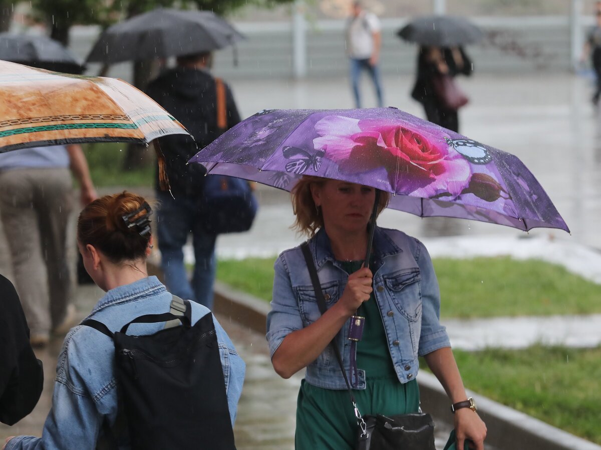 МЧС предупредило москвичей о грозе и сильном ветре – Москва 24, 14.06.2024