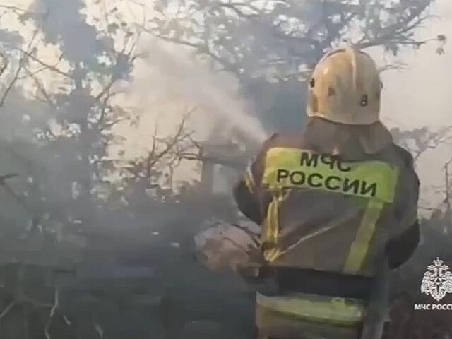 Более 500 человек эвакуировали с 6 баз отдыха из-за пожара под Новороссийском
