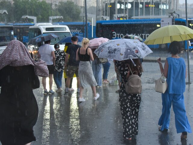 Синоптик Позднякова спрогнозировала кратковременные дожди 13–14 июля