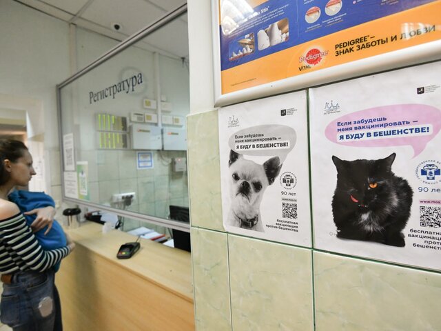 День открытых дверей для владельцев животных пройдет в двух госветклиниках Москвы