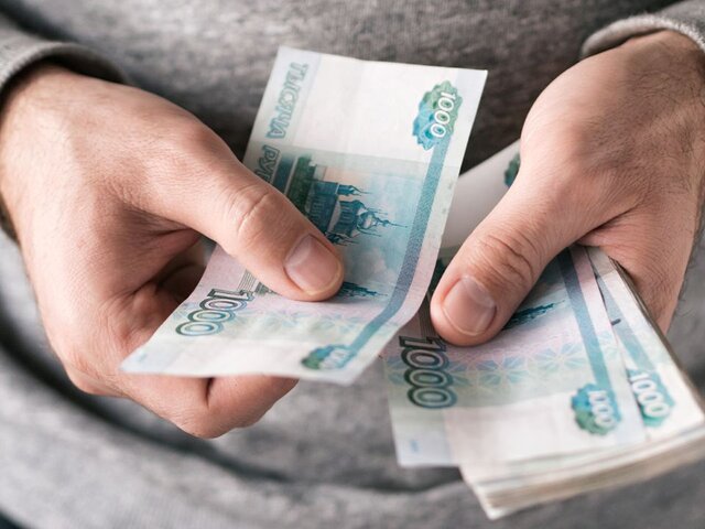 ЛДПР предложила ввести запрет на передачу коллекторам права требовать долги с россиян