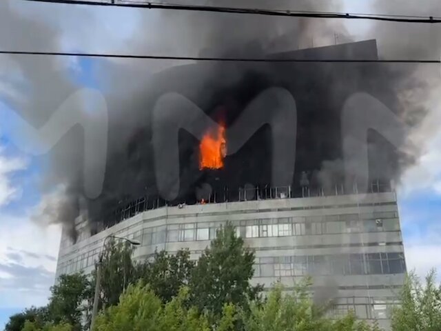 МЧС: площадь пожара во Фрязине увеличилась до 4 000 квадратных метров