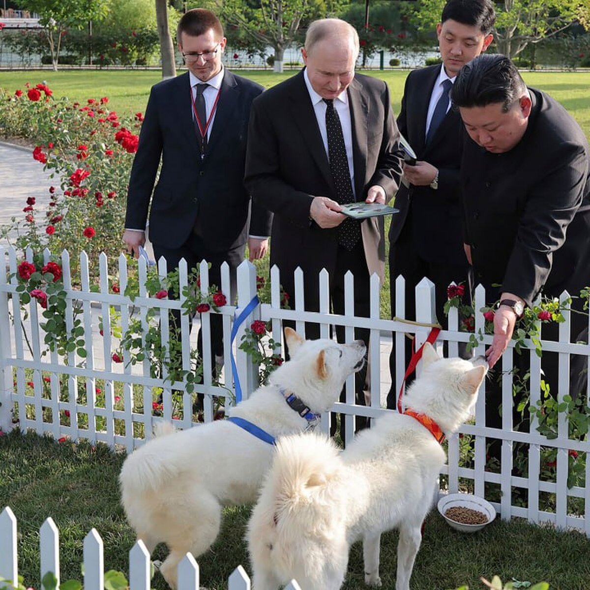 Кинолог Уражевский: подаренные Путину собаки являются сильными и  выносливыми – Москва 24, 20.06.2024