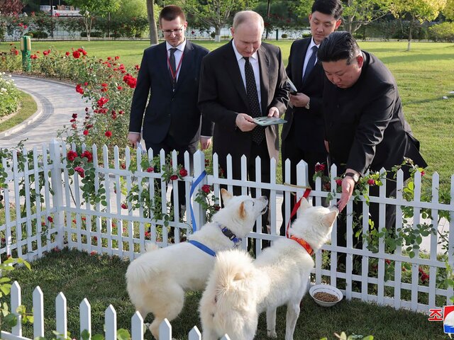 Кинолог Уражевский: подаренные Путину собаки являются сильными и выносливыми