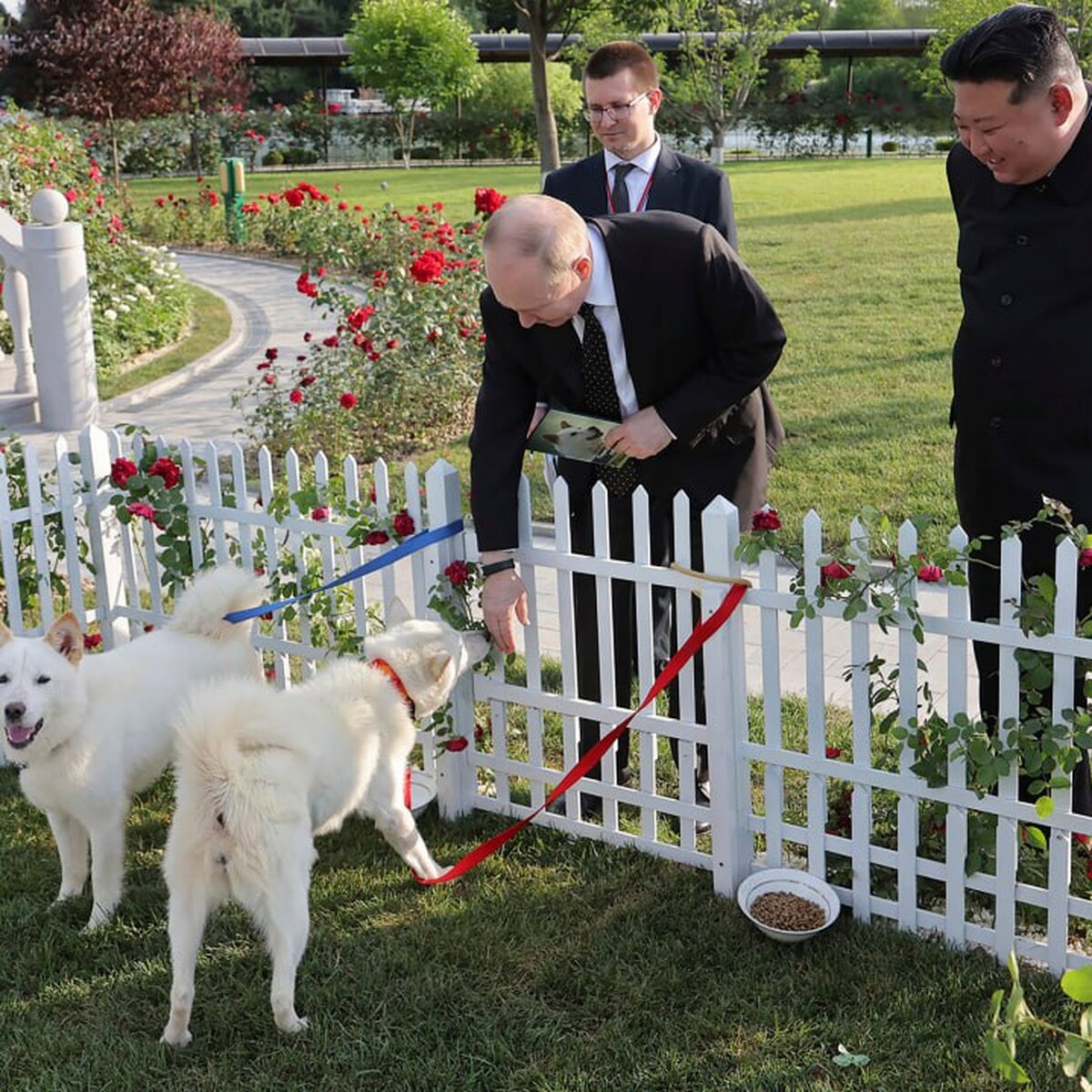 Песков: подаренные Путину собаки будут жить в Москве – Москва 24, 20.06.2024