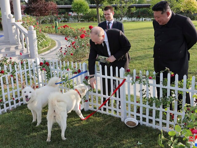 Песков: подаренные Путину собаки будут жить в Москве