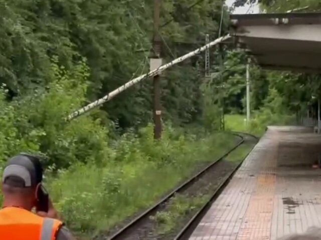 Движение поездов приостановлено на Ярославском направлении из-за упавшего дерева