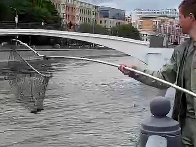 Работники столичного зоопарка вытащили красноухую черепаху из Москвы-реки