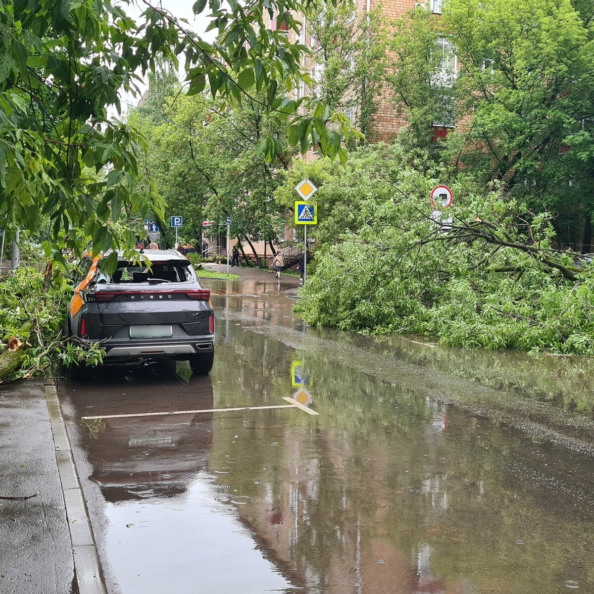 Свыше 700 деревьев упали в Москве во время непогоды – Москва 24, 20.06.2024