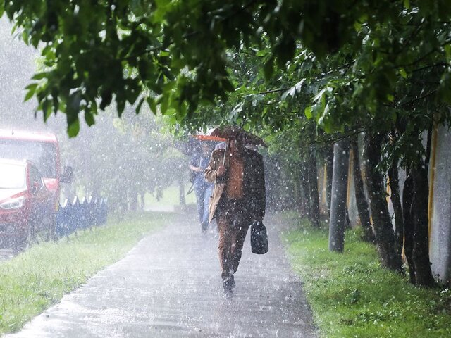 Синоптик Позднякова: июнь в Москве может стать самым дождливым летним месяцем в истории