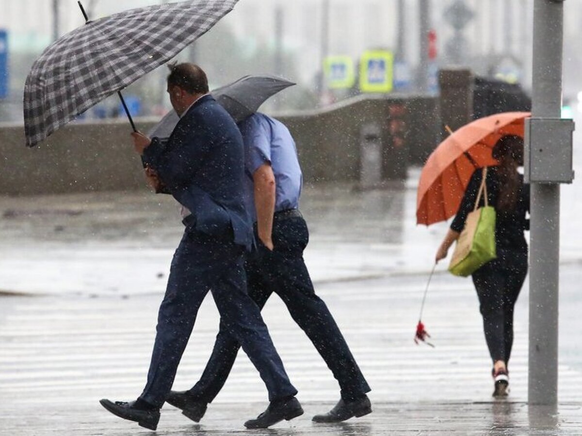 Ливни и грозы накроют Москву 5 июля – Москва 24, 04.07.2024