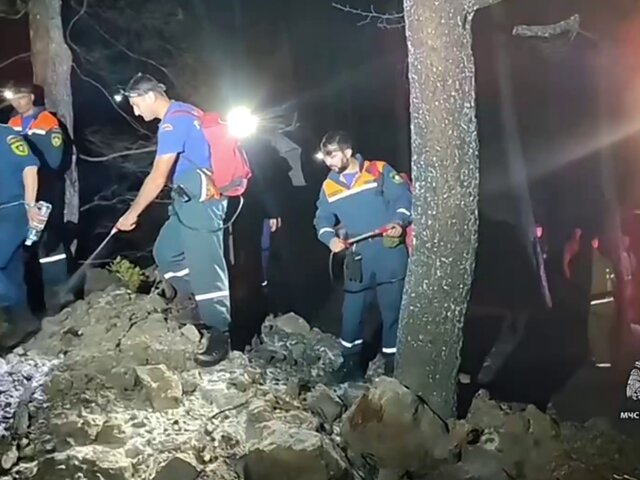Пожарные ликвидировали открытое горение лесной подстилки в Крыму