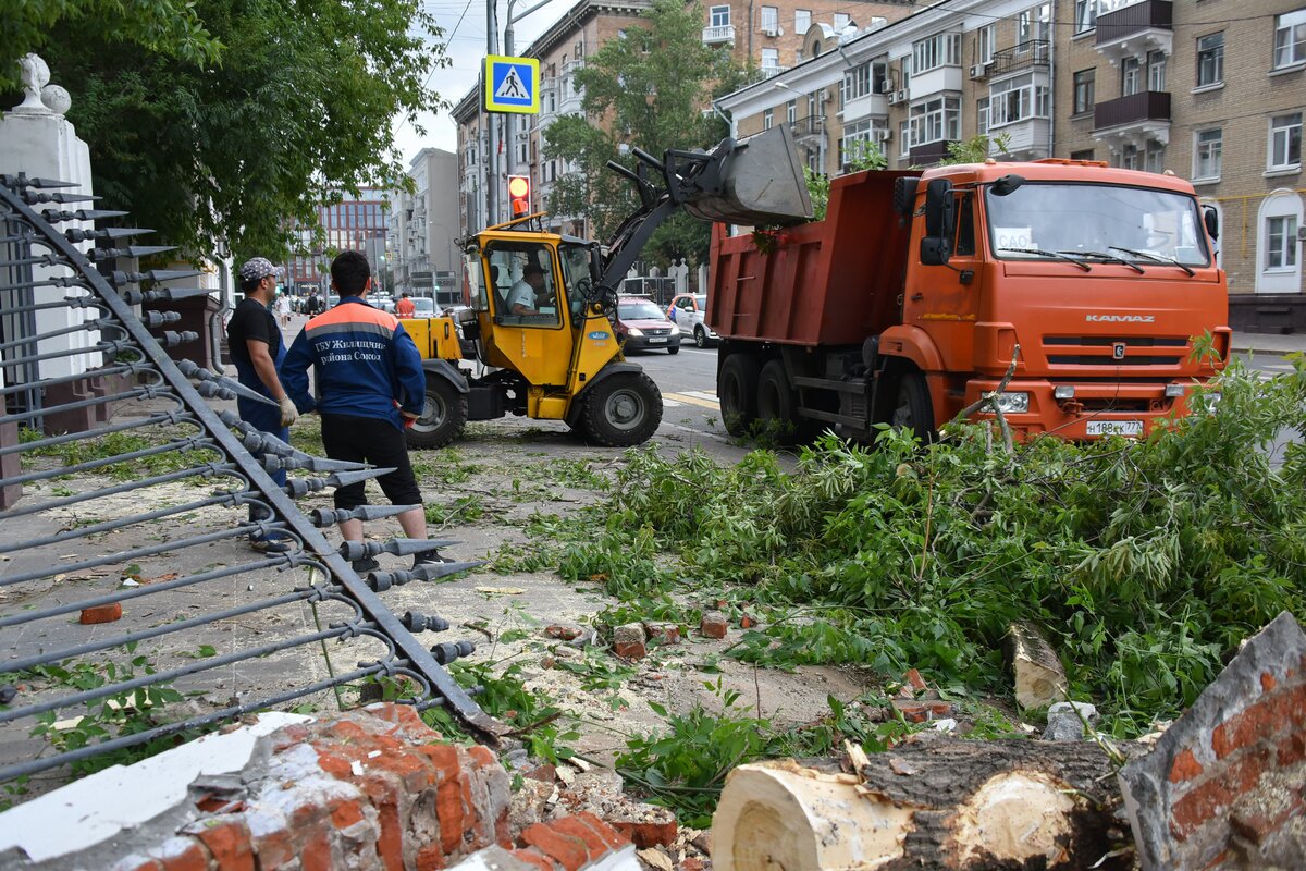 Городские службы Москвы ликвидируют последствия непогоды – Москва 24,  06.07.2024