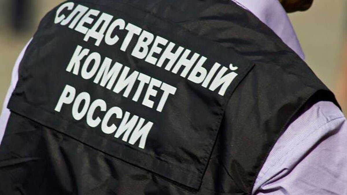 СК завершил расследование по делу экс-депутата ГД Пономарева об оправдании  терроризма – Москва 24, 05.07.2024