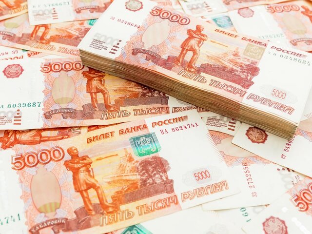 Приватизация принесла в бюджет РФ 11 млрд рублей с начала этого года