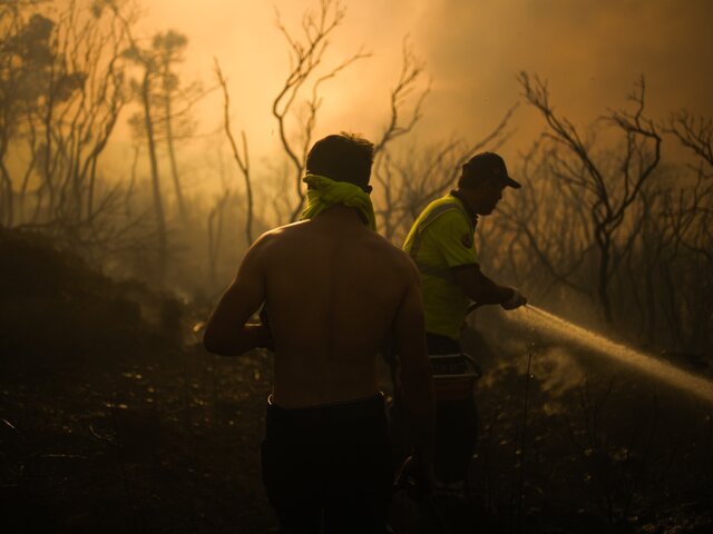 Лесные пожары охватили три провинции Турции