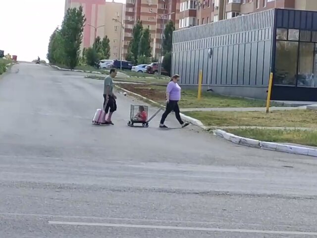 RT: родители объяснили перевозку ребенка в клетке в Оренбурге желанием девочки