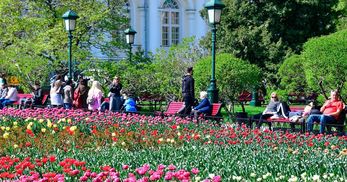 Фестиваль цветов в александровском саду