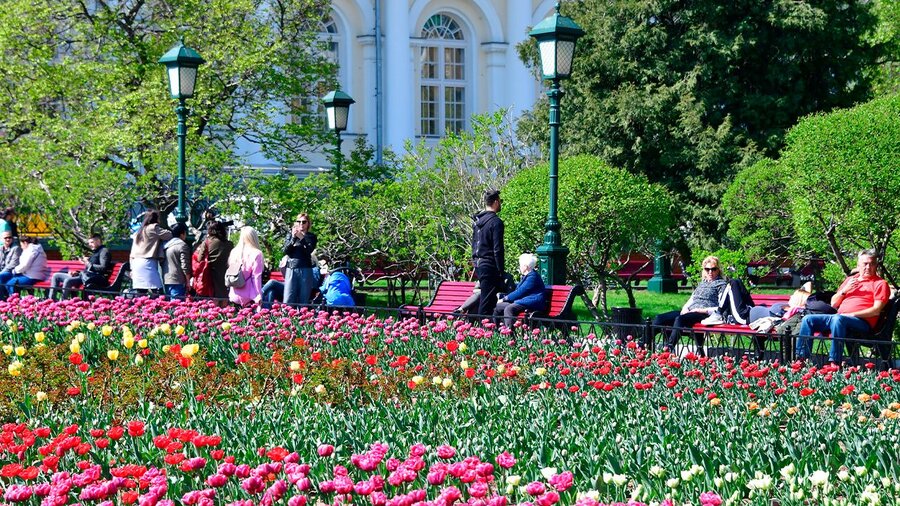 Цветы в александровском саду