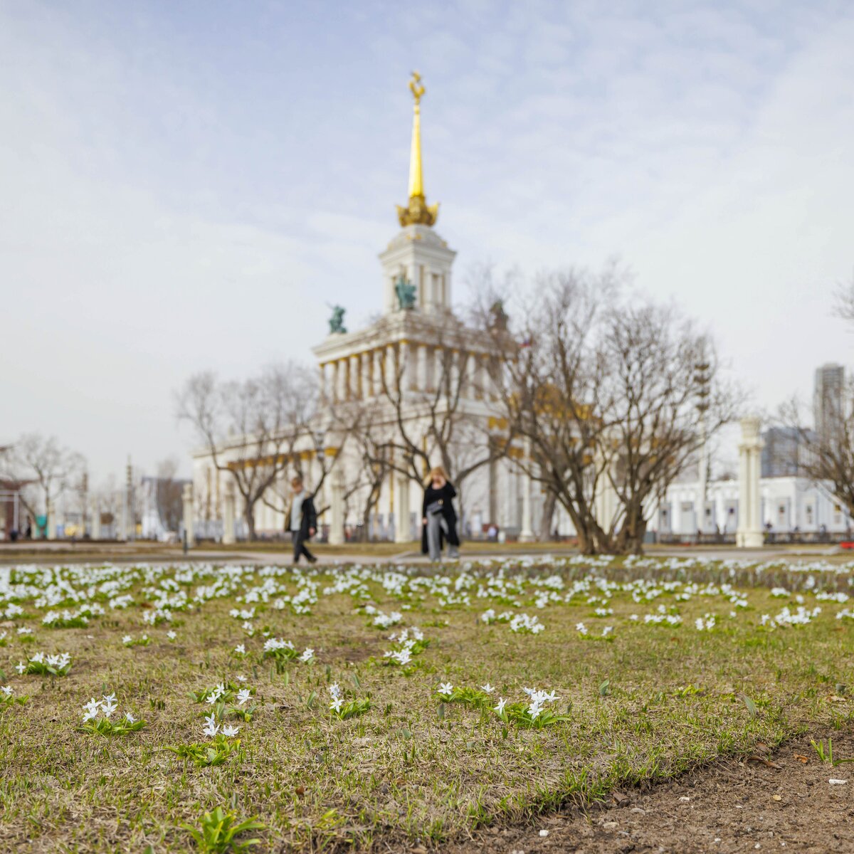 Изменения схемы движения на ВДНХ продлили до 8 июля – Москва 24, 12.04.2024