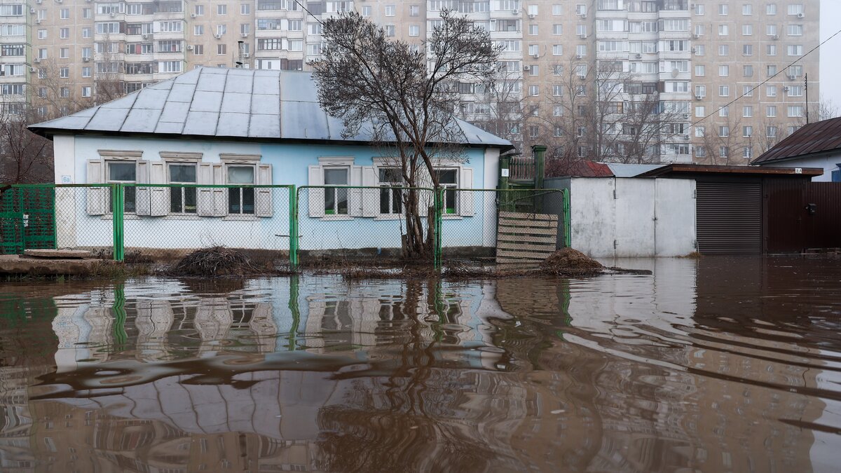 Мэр Оренбурга сообщил, что вода подошла к многоквартирным домам – Москва  24, 11.04.2024