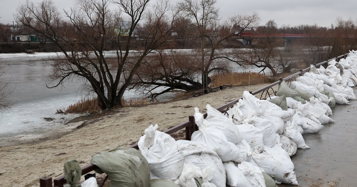 Вода в Тоболе в курганском селе Звериноголовском за 4 часа прибыла на 19 см