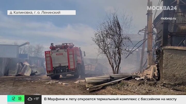 Крупный пожар вспыхнул в Ленинском городском округе Подмосковья