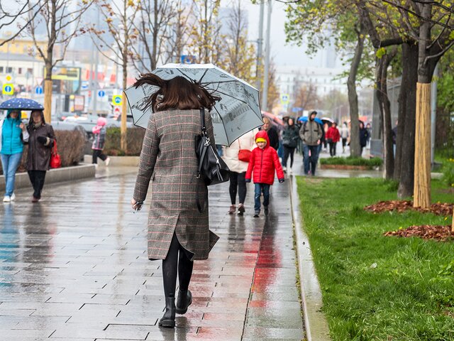 Порывистый ветер ожидается в Москве до конца 15 апреля