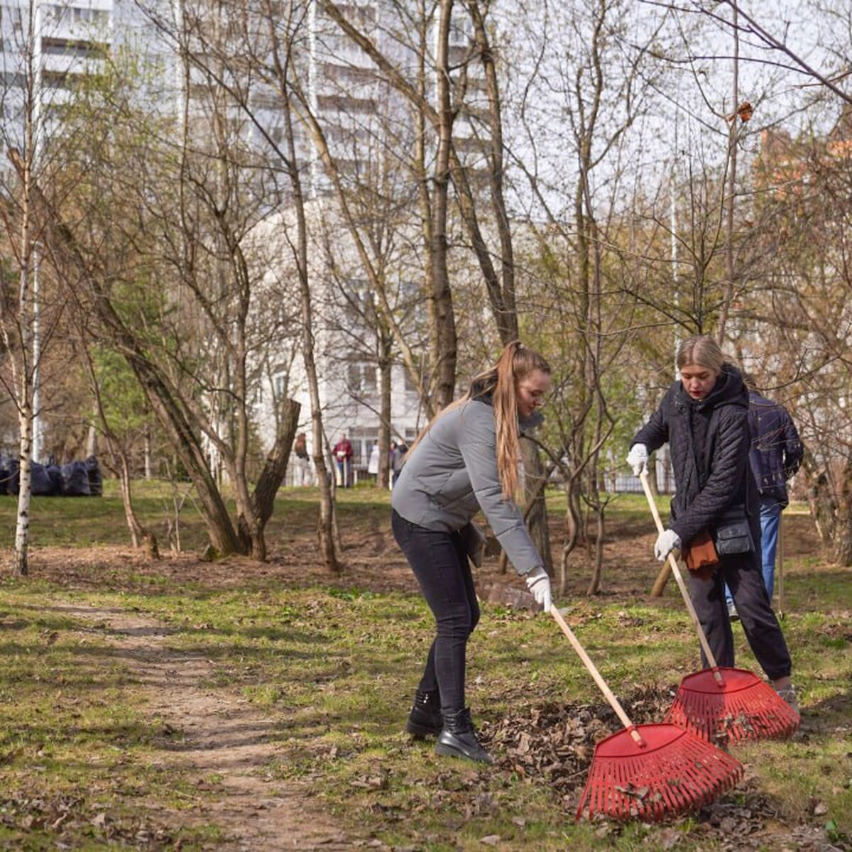 Второй общегородской субботник стартовал в Москве – Москва 24, 20.04.2024