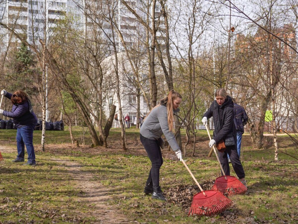 Второй общегородской субботник стартовал в Москве – Москва 24, 20.04.2024