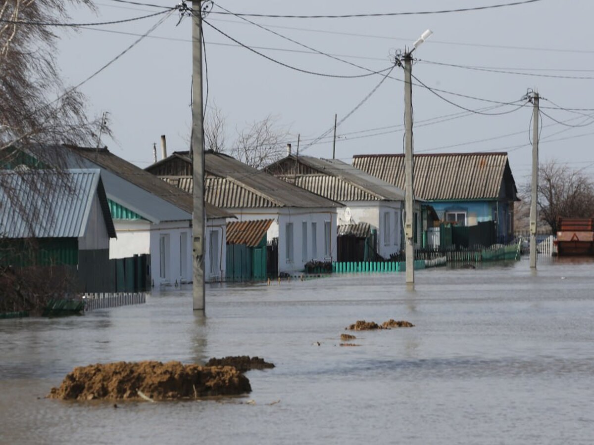 Уровень воды в реке у тюменского Ишима поднялся до 1 006 сантиметров –  Москва 24, 20.04.2024