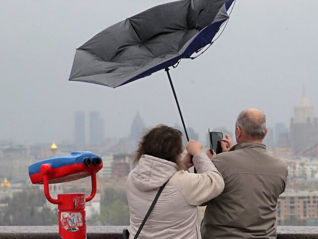 Усиление ветра ожидается в Москве в ближайшие часы