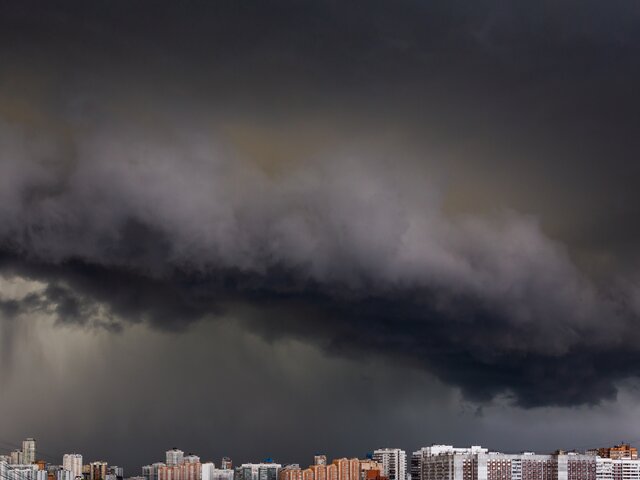 Москвичей предупредили о штормовом ветре 19 апреля