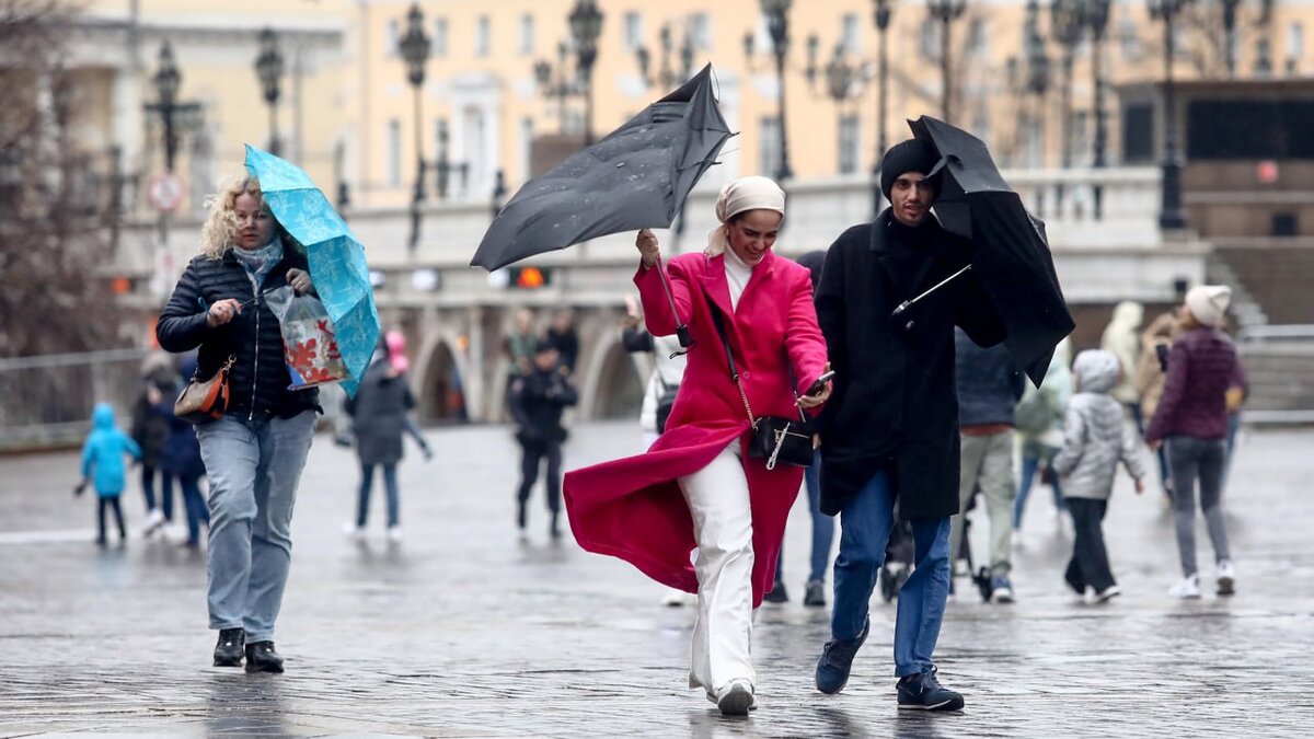 МЧС предупредило москвичей о шквалистом ветре до вечера 19 апреля – Москва  24, 19.04.2024