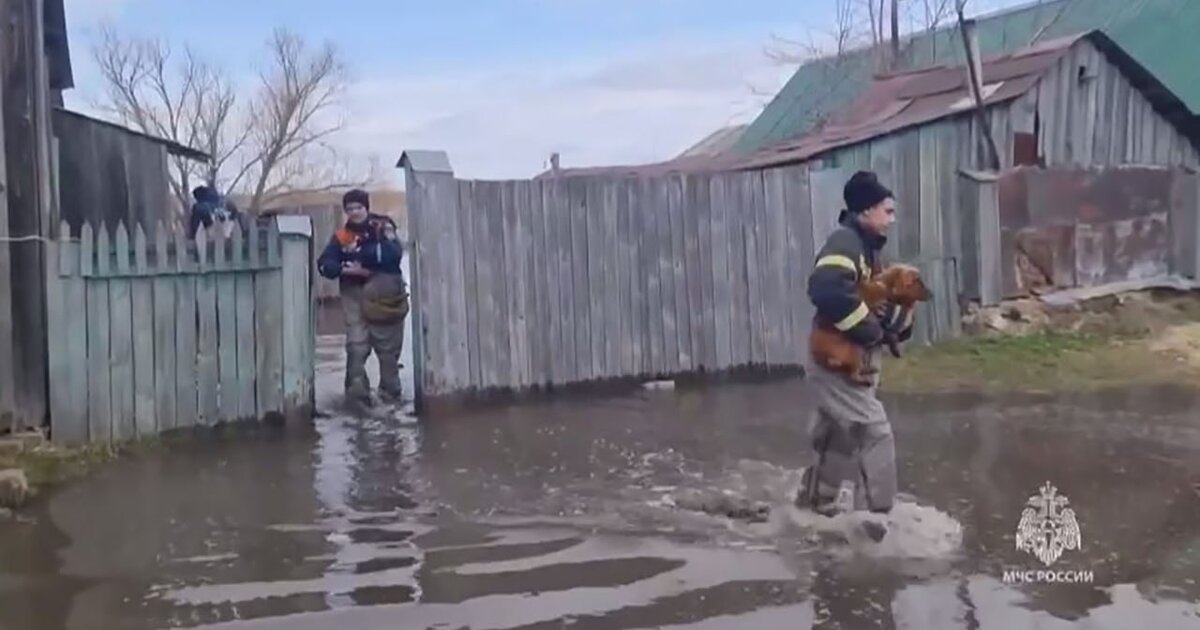 В Курганской области подтоплены 2 090 жилых домов