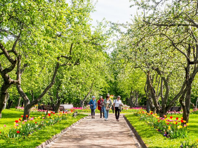 До 24 градусов тепла ожидается в Москве 22 мая