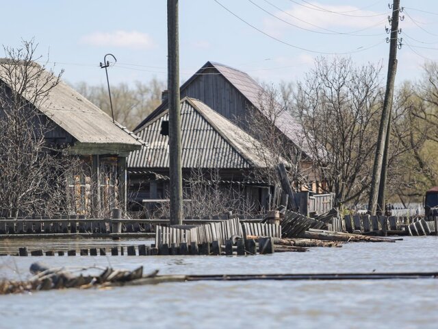 Путин поручил дать отгулы и отпуска жителям пострадавших от паводков регионов РФ