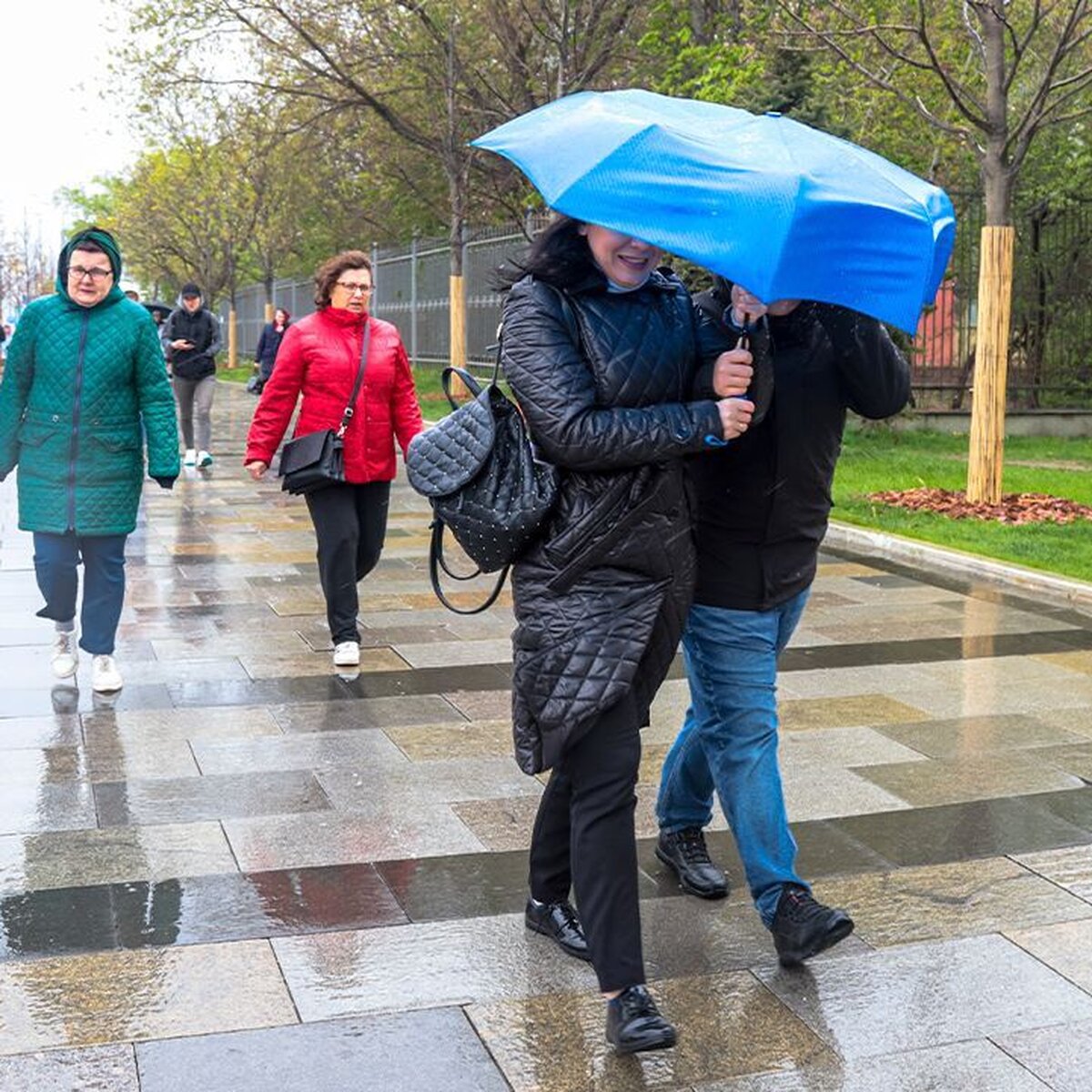 Сильный ветер ожидается в столице до конца дня – Москва 24, 08.05.2024