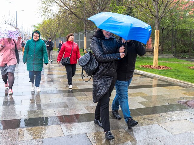 Сильный ветер ожидается в Москве 7 мая