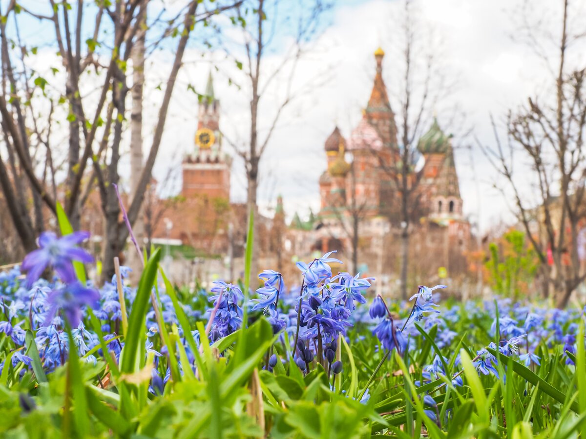 Москвичам рассказали о погоде 3 мая – Москва 24, 03.05.2024