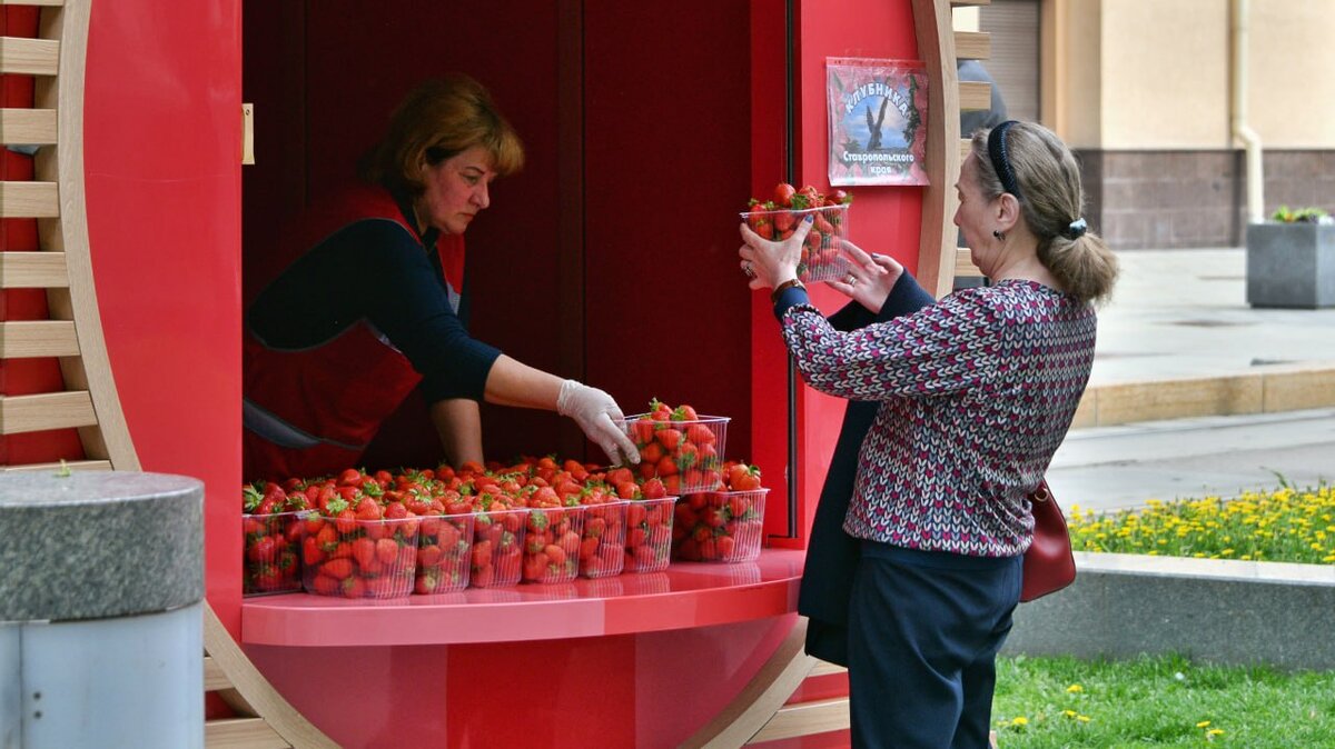 Торговые точки по продаже ягод начали работать в Москве – Москва 24,  20.05.2024