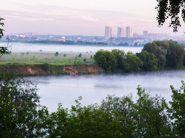 Туман ожидается в Москве до 07:00 22 мая