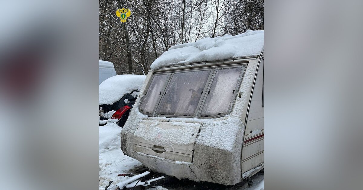 Пять собак обнаружили в запертом фургоне на севере Москвы