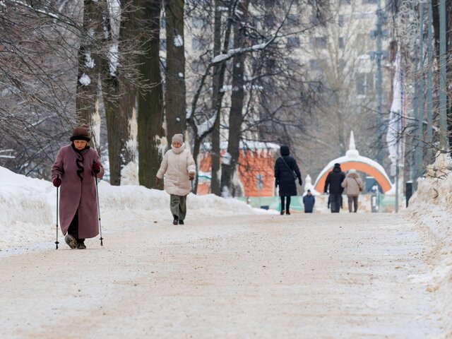 Гололедица ожидается в Москве вечером 28 февраля